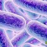 Ужасная болезнь: бактерии буквально «съели» ткань