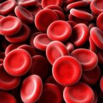 Создана искусственная кровь, которую можно переливать всем пациентам